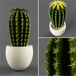 Cactus